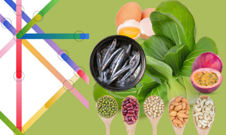 cours en ligne gratuit alimentation saine FAO certificat