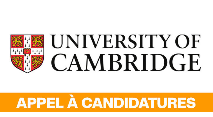 Analyse de donnees formation en ligne certifiante de lUniversite de Cambridge