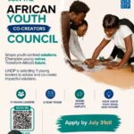 Conseil des jeunes co createurs africains du PNUD