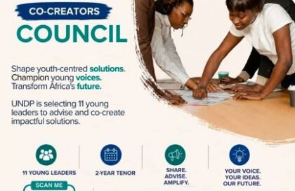 Conseil des jeunes co createurs africains du PNUD