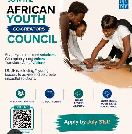 Conseil des jeunes co createurs africains du PNUD