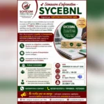 Seminaire dinformation – SYCEBNL lome