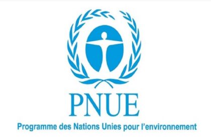 Stage PNUE Kenya