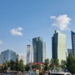 Bourse Princeton en Afrique 2027