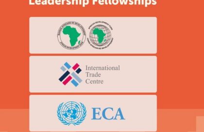bourse de leadership Mo Ibrahim 2027
