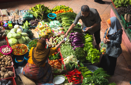cours FAO évaluation des coûts et monétisation des avantages nutritionnels