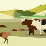 cours gratuit FAO élevage bioéconomie circulaire