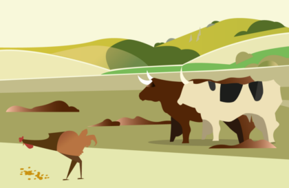 cours gratuit FAO élevage bioéconomie circulaire