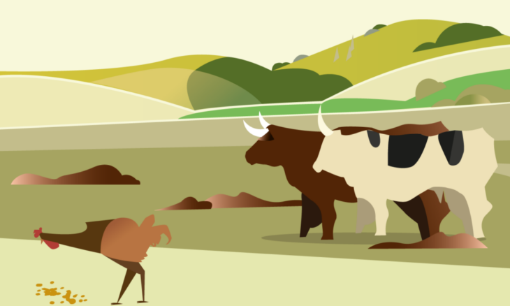 cours gratuit FAO élevage bioéconomie circulaire