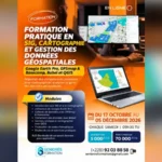 formation pratique en sig, cartographie et gestion des données géospatiales