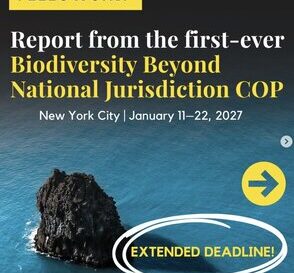 Bourse de reportage COP1 BBNJ 2027 à New York