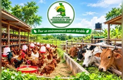 L'Association Tchaoudjo Vert recrute un Agent d'Élevage