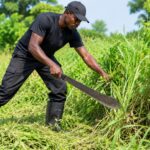 emploi togo agents manoeuvres