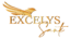 64x64 LOGO Excelys Sante