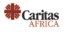 64x64 Logo Caritas Africa